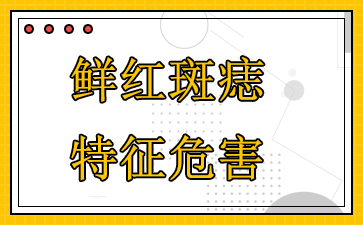 ʺƷ-ʺΣ